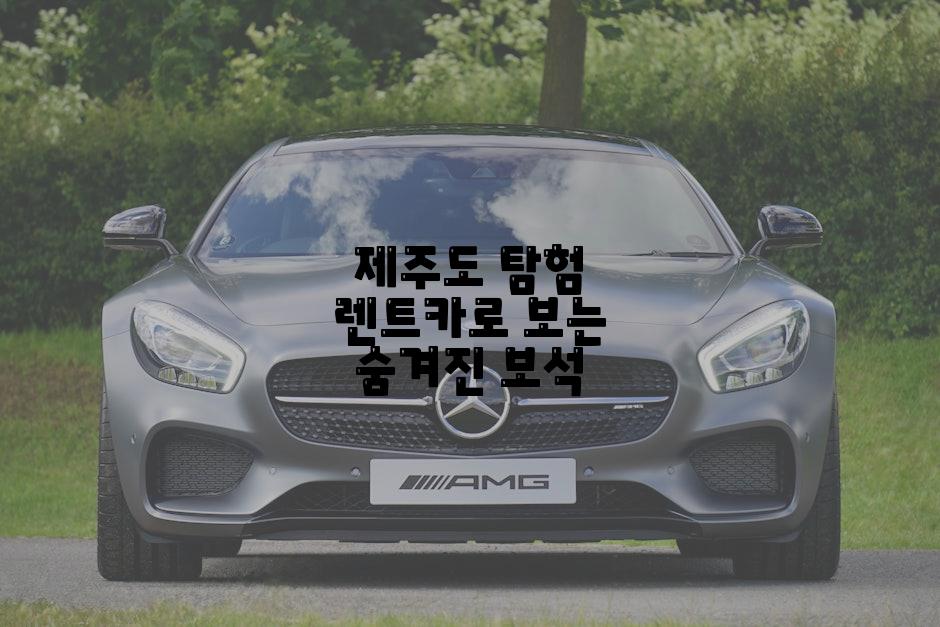 제주도 탐험 렌트카로 보는 숨겨진 보석