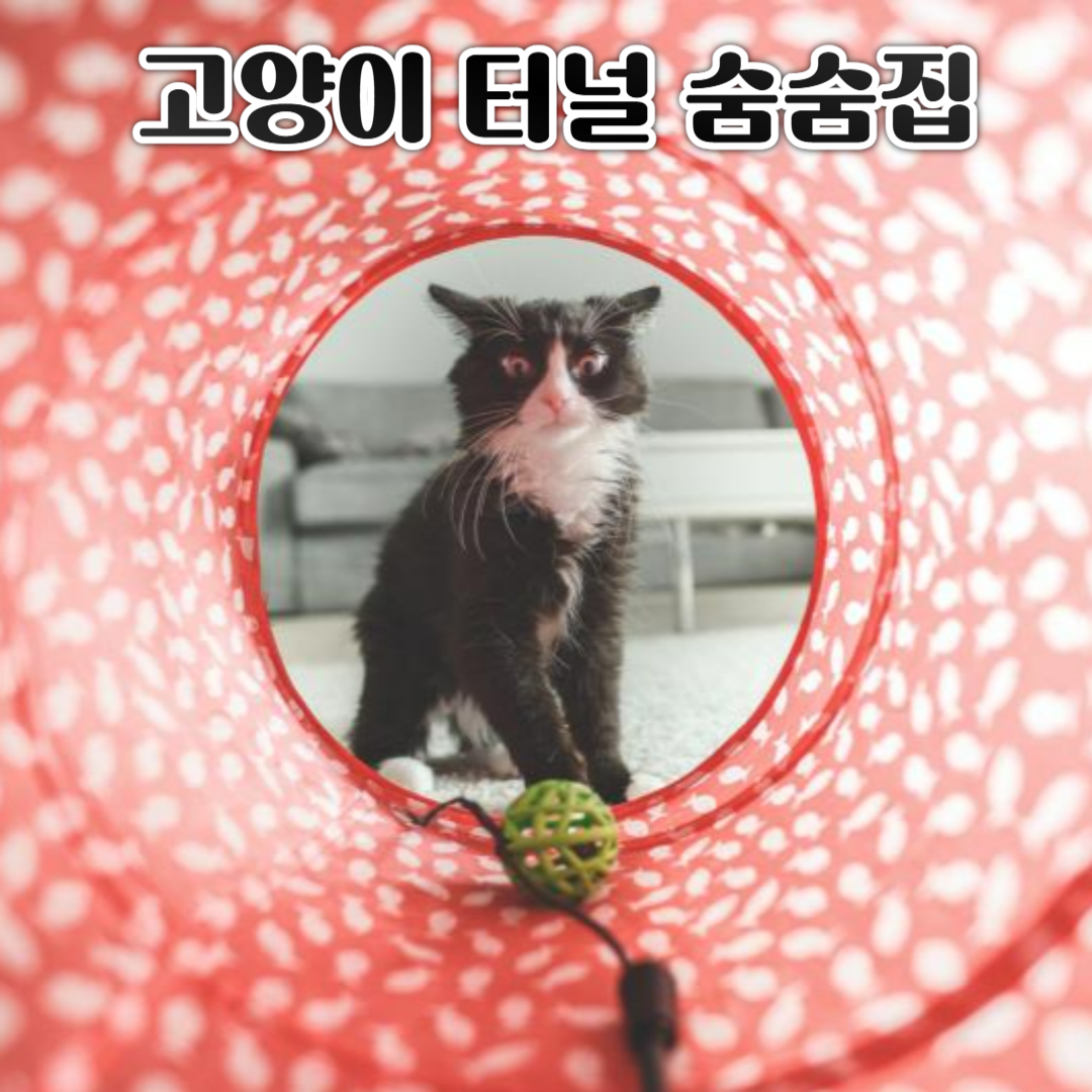 고양이 터널 숨숨집