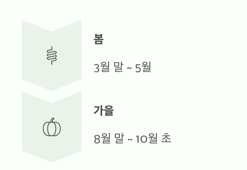 씨앗 뿌리기, 딱 좋은 시기는?