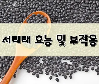 서리태 효능 콩물 만드는방법 수확시기 서리태콩 정보_15
