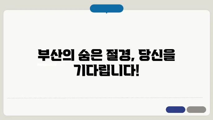 부산 특별한 이벤트