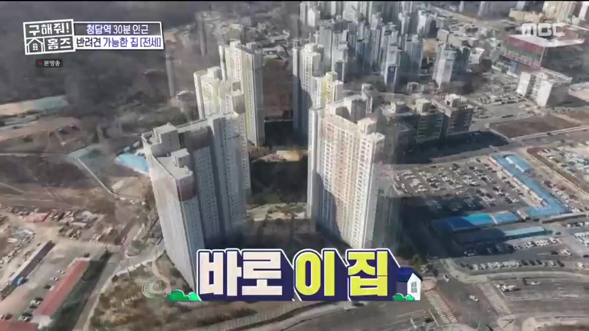 구해줘홈즈 1층집 바이브 동물병원 인접 남양주 다산동 전세 매매 매물 가격 및 구조 인테리어 리모델링 최종선택 강재준 양세찬 소개