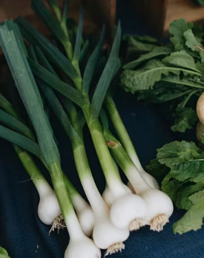 3월 차박 여행 필수 코스: 미나리 삼겹살 그리들 구이와 실패 없는 불 조절 노하우