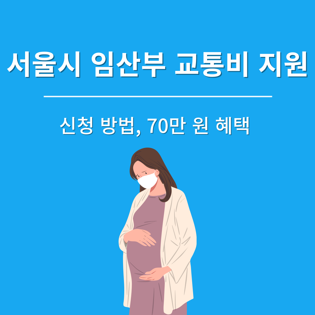 서울시 임산부 교통비 지원사업 70만 원 혜택 &amp; 신청 방법 &amp; 사용처 총정리