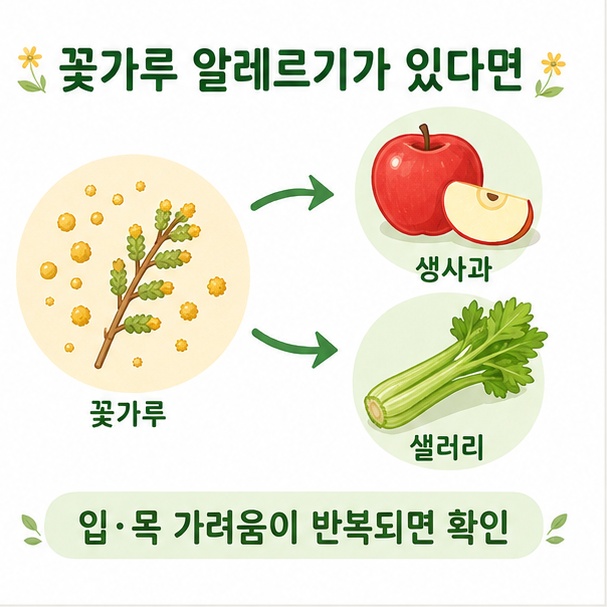 꽃가루 알레르기가 있는 일부 사람에게 생사과나 생채소 섭취 후 입과 목 가려움이 나타날 수 있음을 설명한 그림