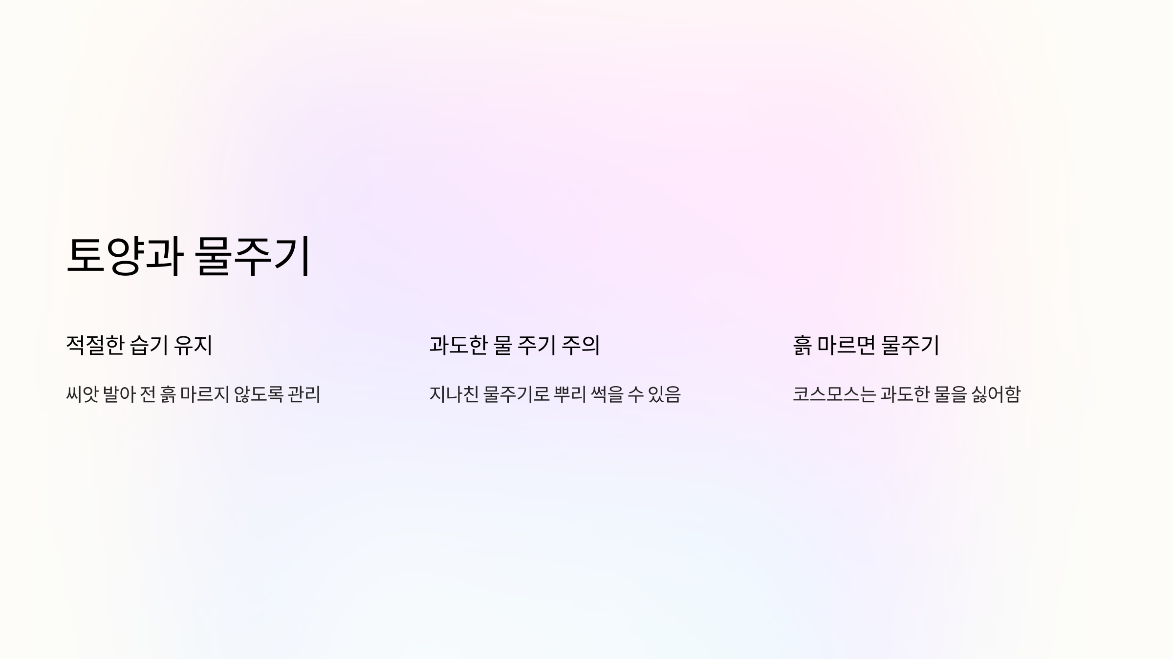 코스모스 사진입니다.