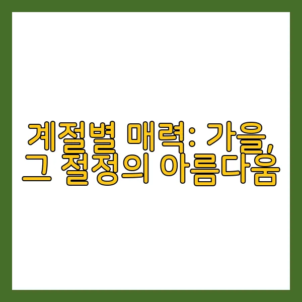 계절별 매력: 가을, 그 절정의 아름다움