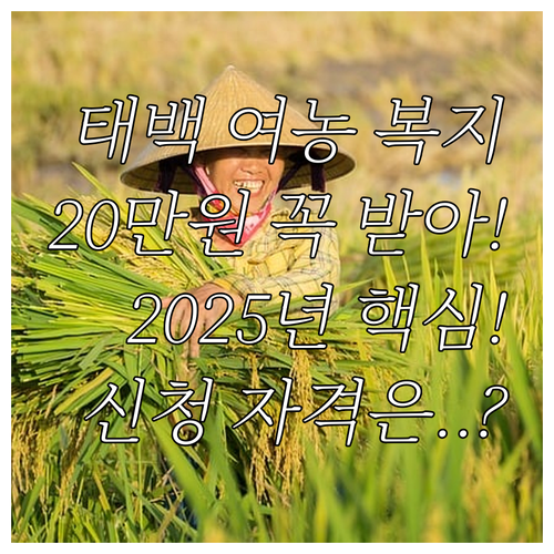 2025년 태백시 여성농업인 복지 지..