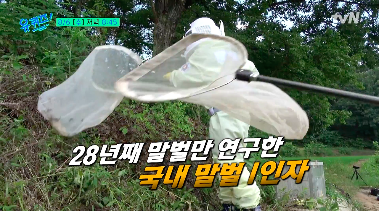 경북대학교 최문보 교수 말벌 전문가