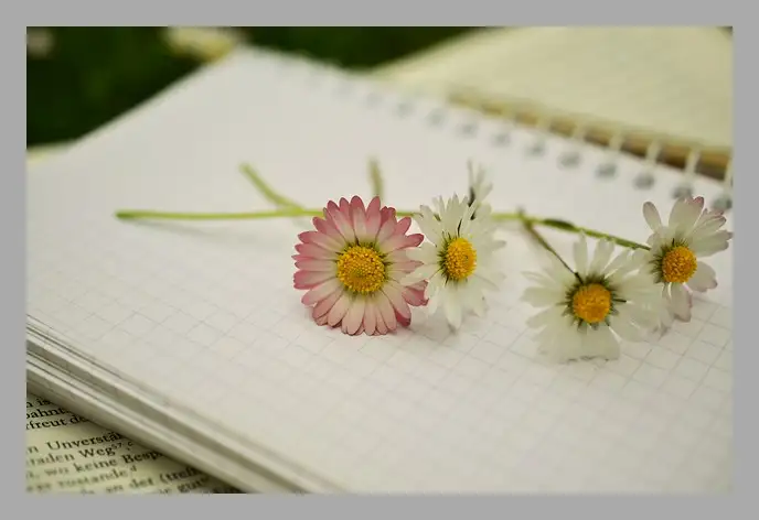 한강 채식주의자