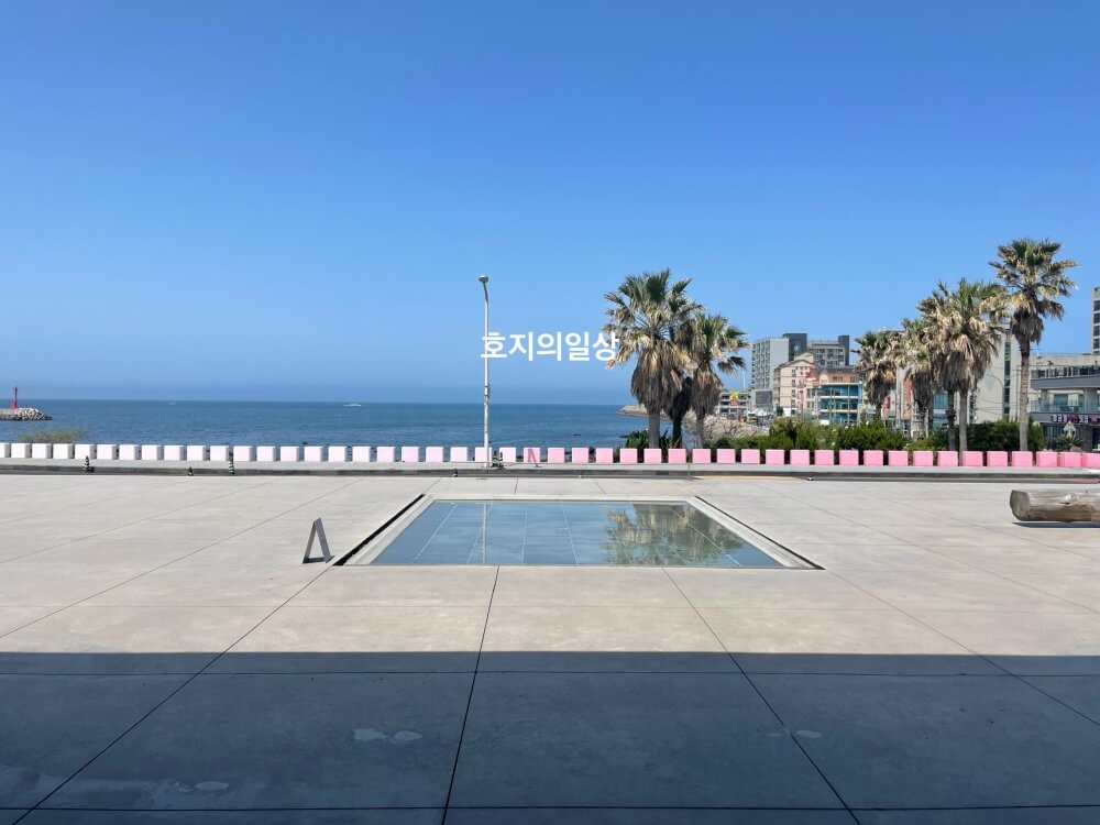 제주 카페,진정성 종점 - 바다뷰