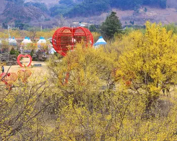 구례 산수유축제_32