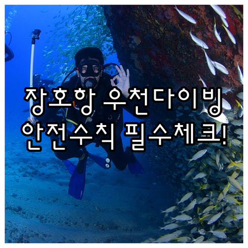 삼척 장호항 스쿠버다이빙 비 오는 날..