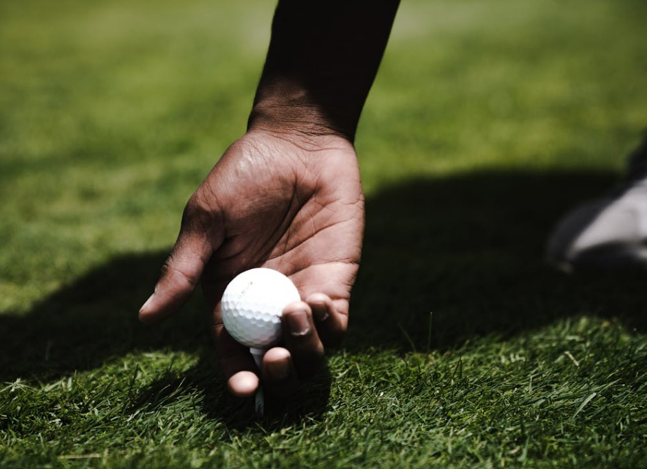 2025 골프회원권 가격 시세 완전정리