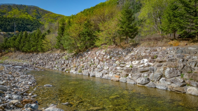 가평 : 밤나무숲 캠핑장 (애견동반가능)