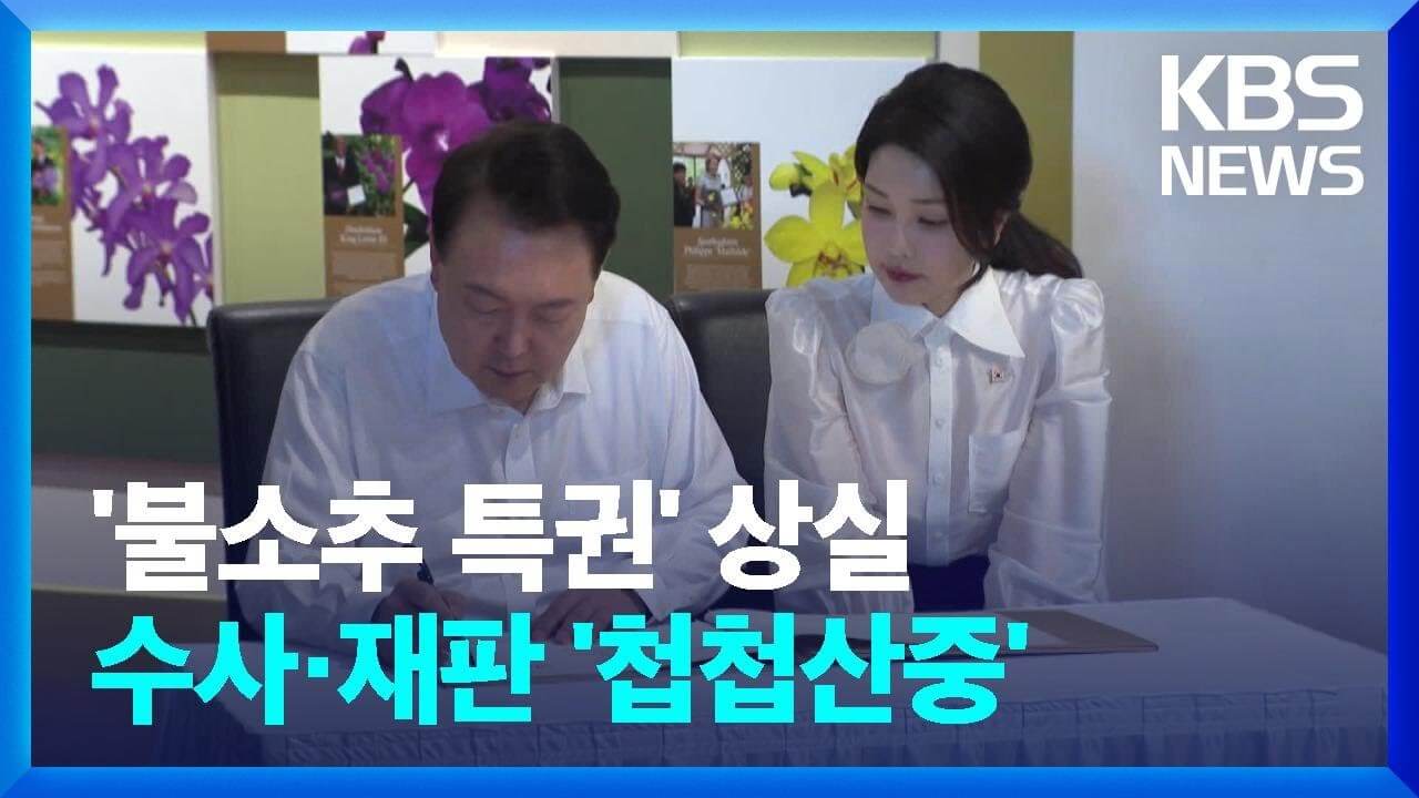 불소추 특권이란?｜뜻부터 논란, 중요한 이유