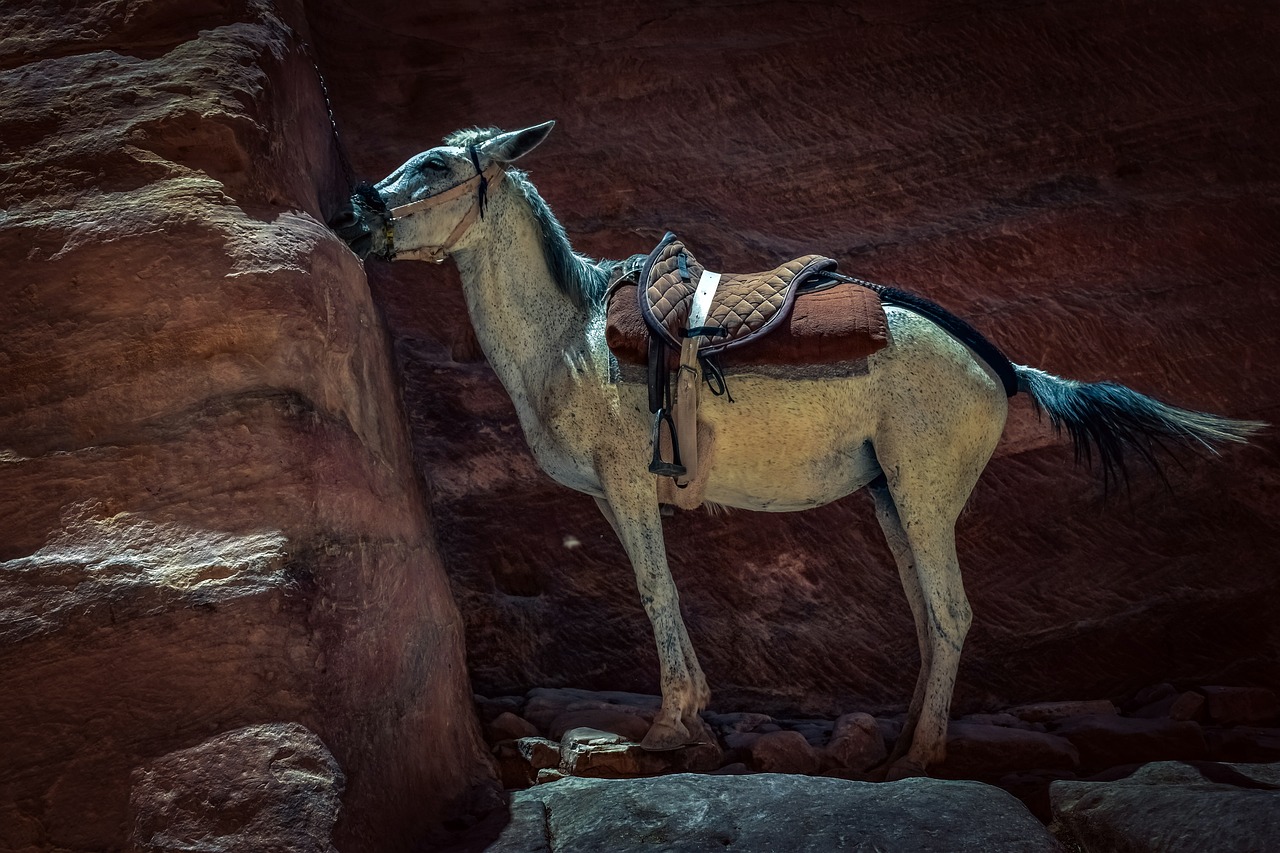 인공지능과 로봇: 법적 보호 대상이 되는 날은 언제일까?