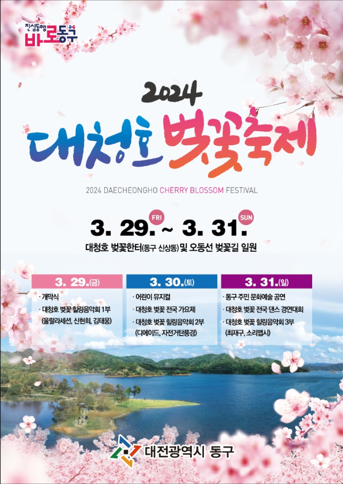2025 벚꽃 개화시기 대전 대청호 벚꽃 축제
