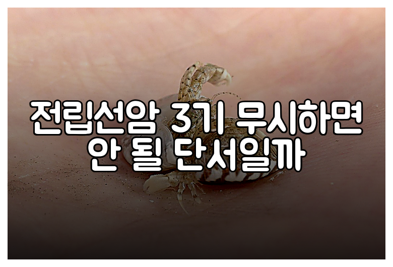 전립선암 3기 무시하면 안 될 단서일까