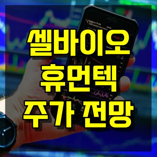 셀바이오휴먼텍 주가 전망