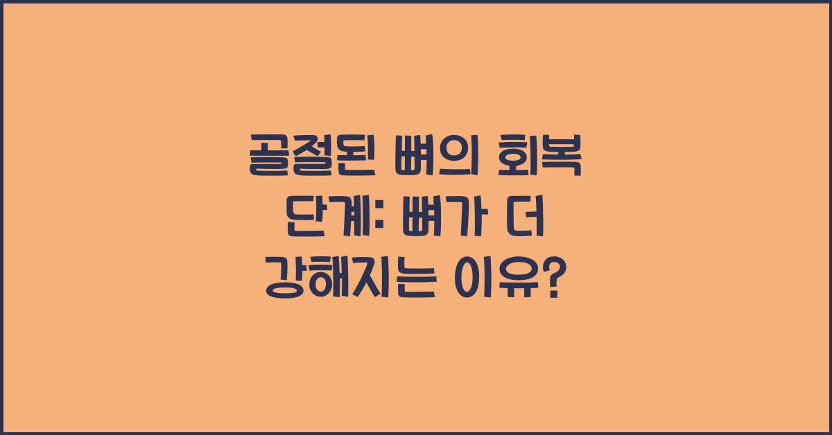 골절된 뼈의 회복 단계