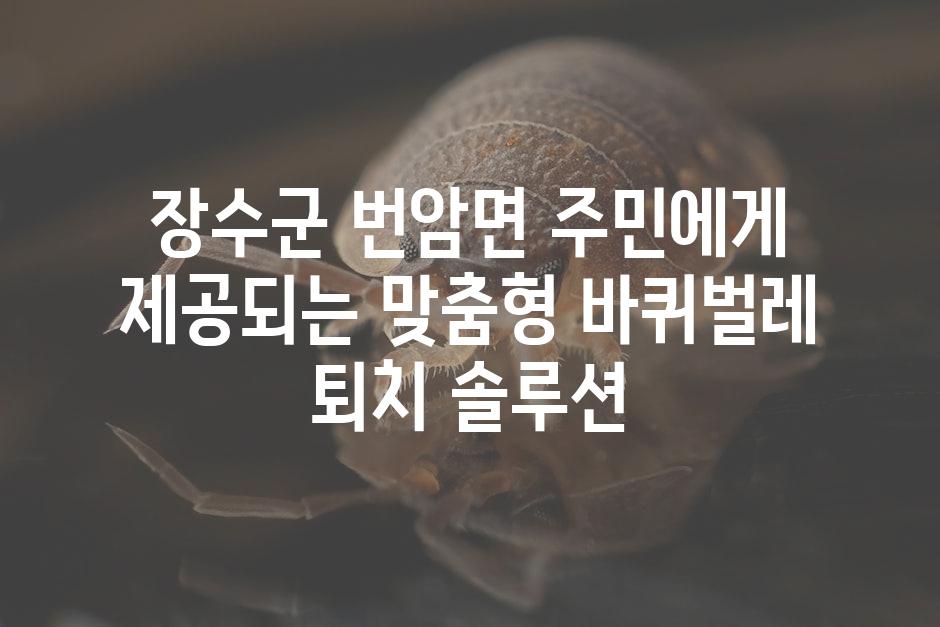 장수군 번암면 주민에게 제공되는 맞춤형 바퀴벌레 퇴치 솔루션