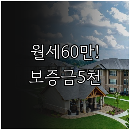 김제시 청년월세지원 보증금5천만원 월..