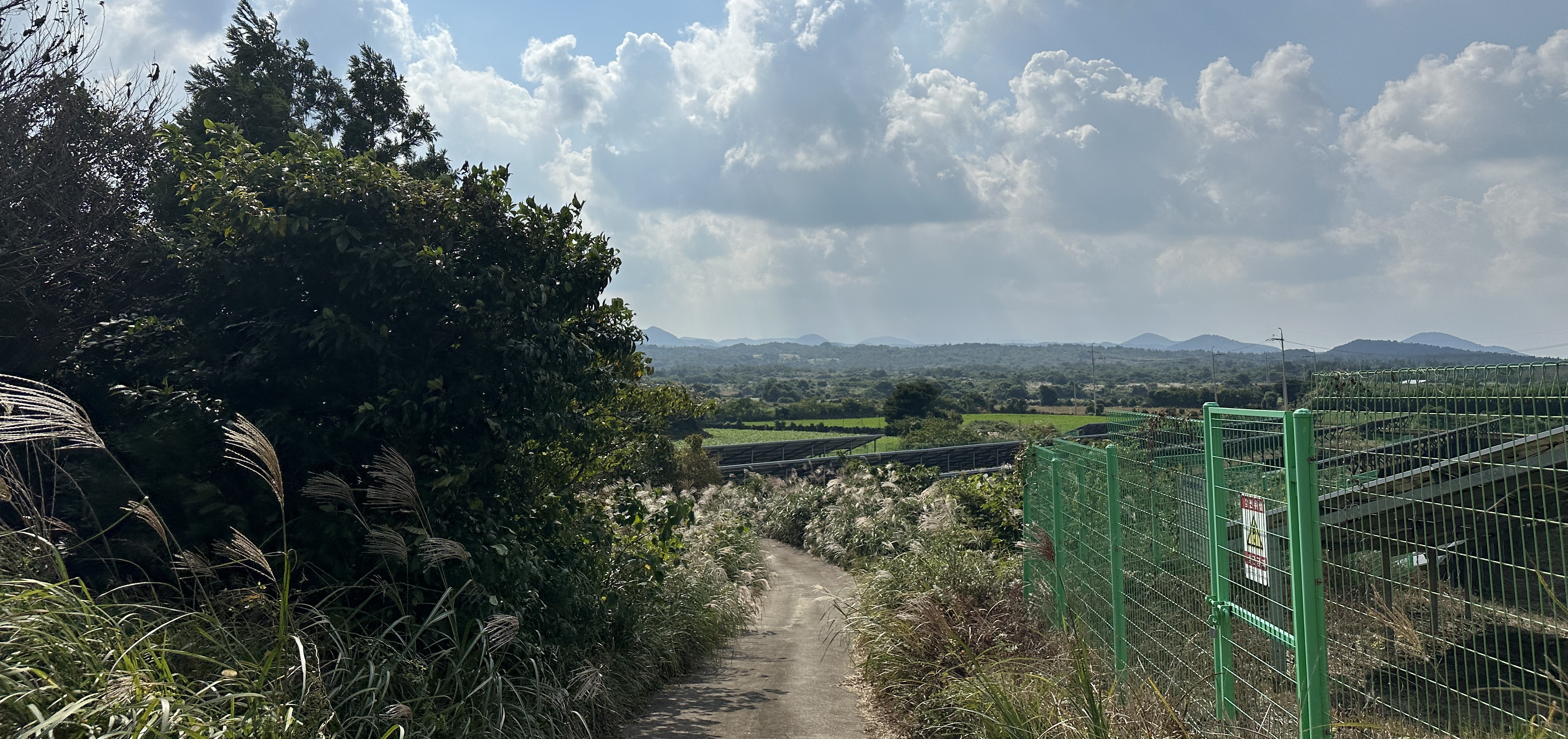 둔지오름 돌아가는길+