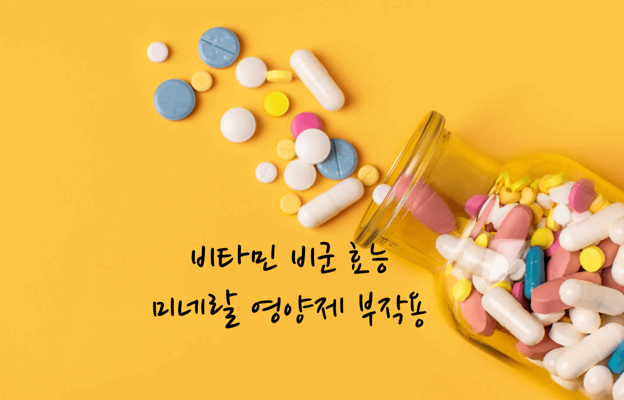 비타민 비군