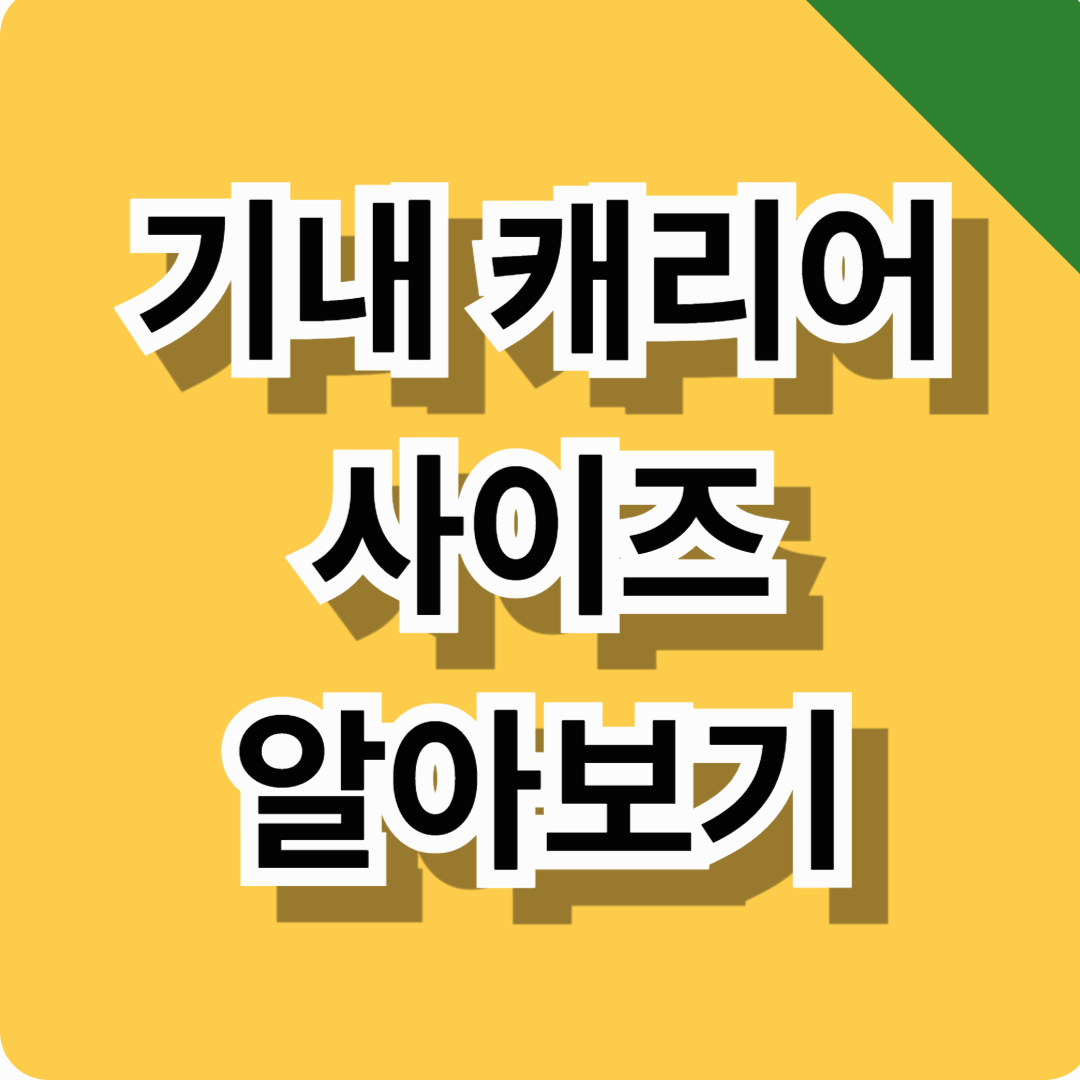 기내 캐리어 사이즈 알아보기! (항공사별 사이즈, 무게, 반입가능 항목까지 총정리)