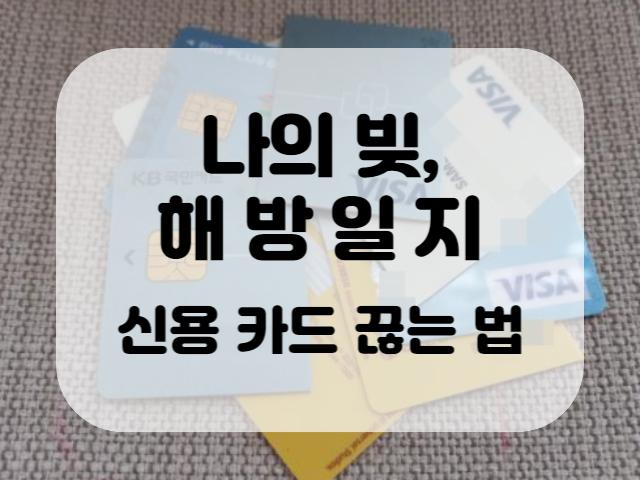 나의 빚, 해방일지 / 신용카드 끊는 법(카드빚 갚기)