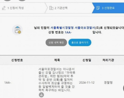 미스맥심 김나정 필리핀에서 ㅁㅇ 자수사건