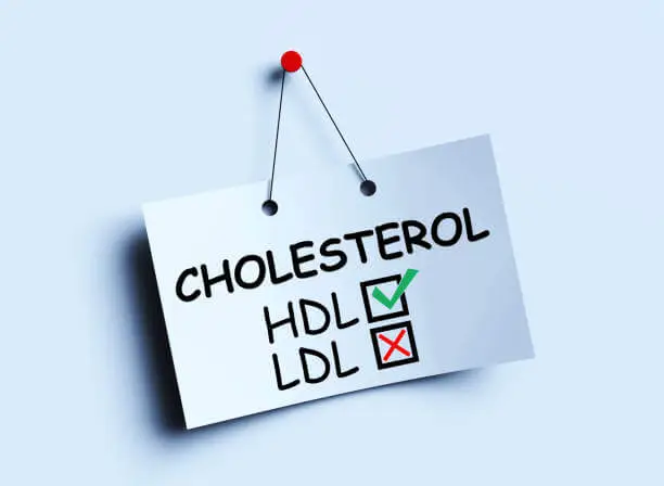 고지혈증-수치-기준-콜레스테롤-정상-범위