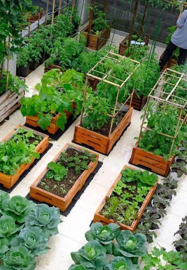 만석꾼행복메론체험장