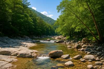 가야산 계곡