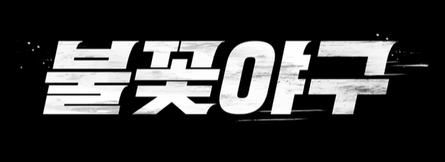 불꽃 야구