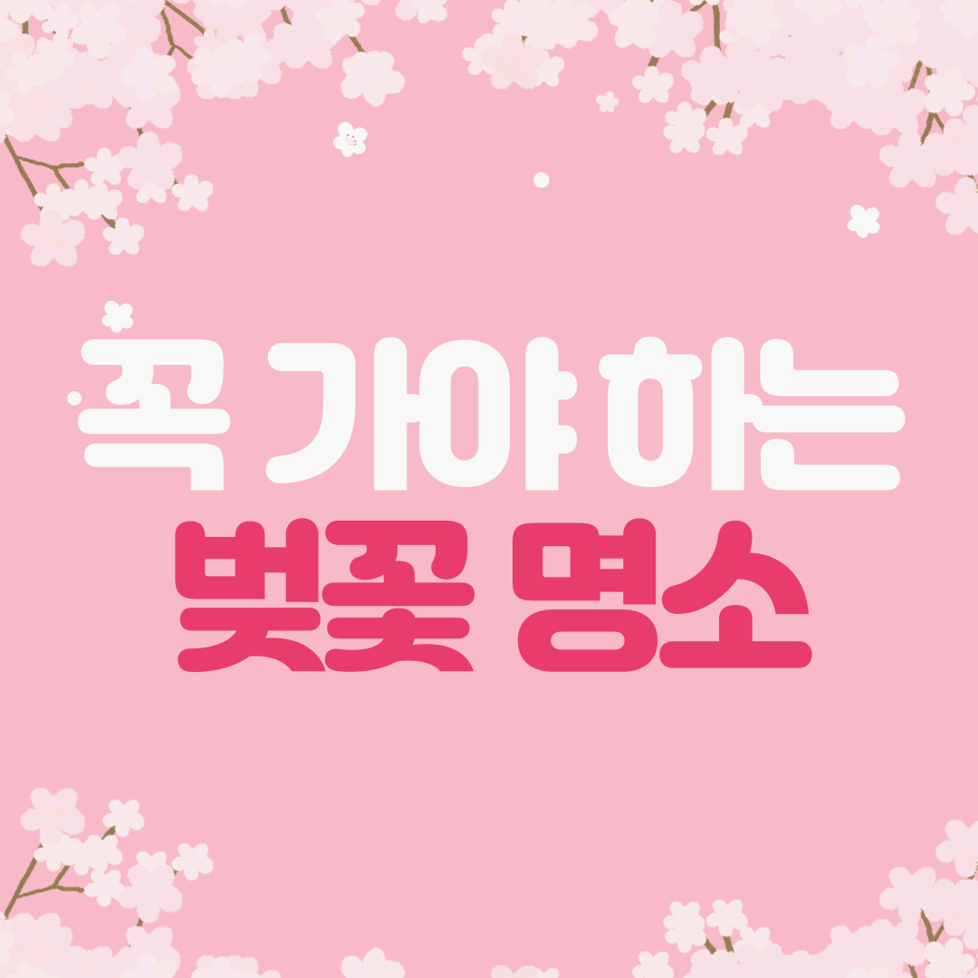 전국에서 꼭 가봐야 할 벚꽃 명소 10곳 🌸🌿