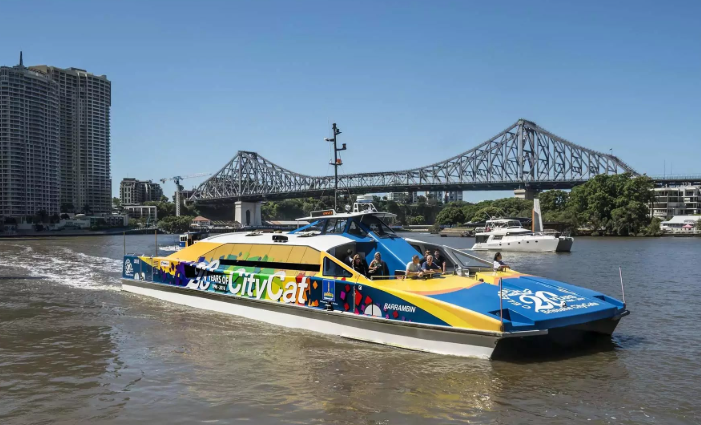 브리즈번 시티캣