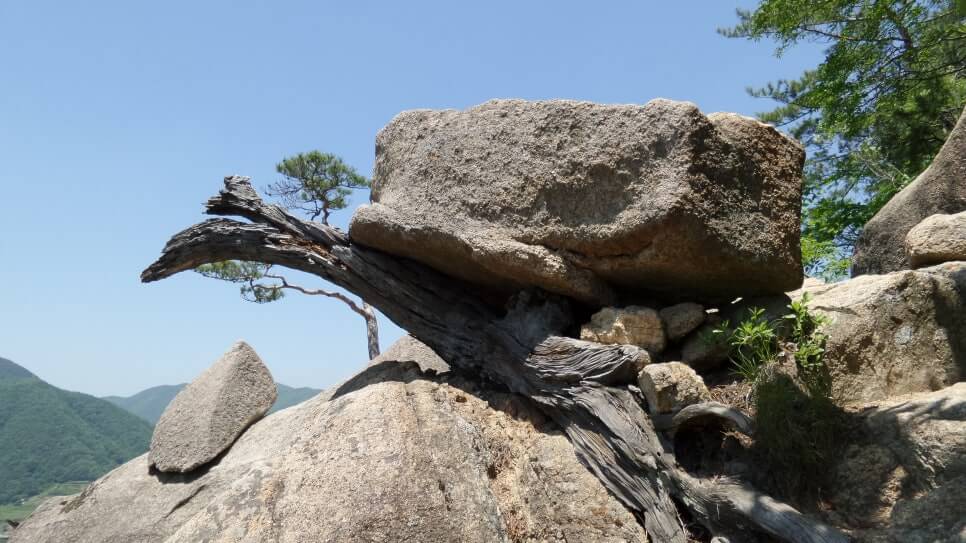 100대 명산 등산하기 마흔여섯번째 단양 도락산 암릉 구간과 기암괴석&amp;#44; 소나무 조망이 우수하며&amp;#44; 도락산 정상에서의 탁 트인 경관이 매력적