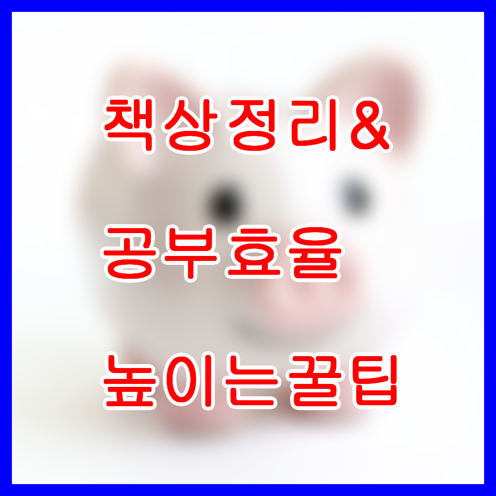 책상 정리 & 공부 효율 높이는 꿀팁