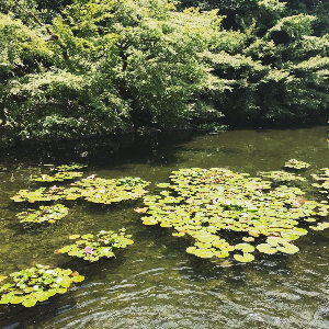 나고야 여행 추천 도쿠가와엔