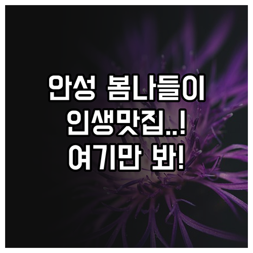 경기도 안성 봄나들이 추천 명소와 맛..