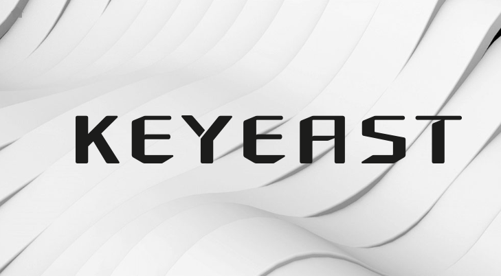 출처 : 키이스트 홈페이지. 키이스트 로고