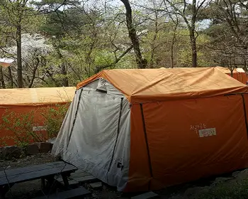 서울대공원 캠핑장 예약_20