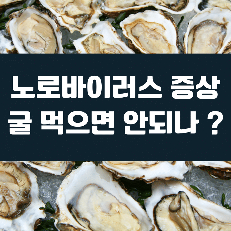 노로바이러스 증상