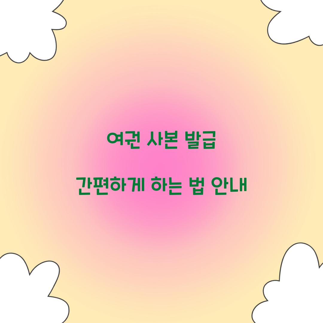 여권 사본 발급