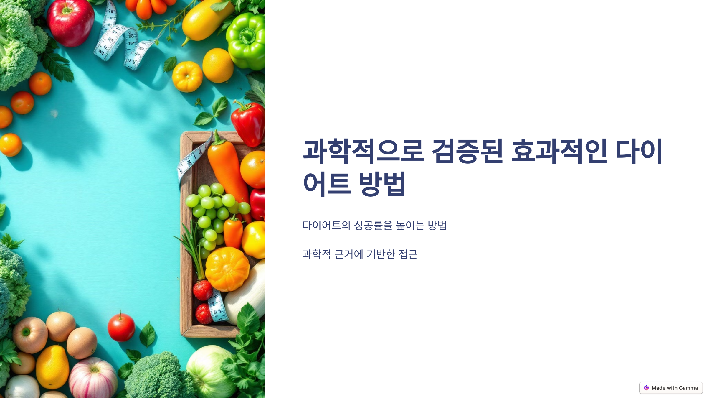 다이어트 방법