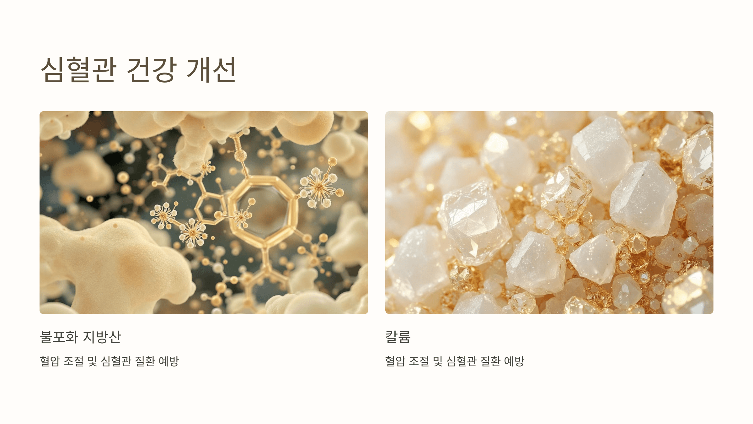 녹두 사진입니다.