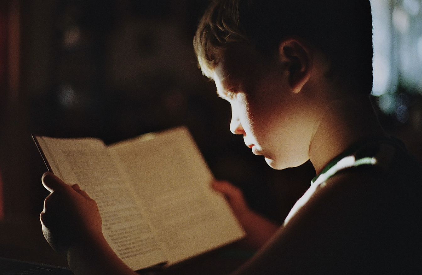 IQ보다 중요한 사고력 훈련 &ndash; 논리적 사고력을 키우는 5가지 방법