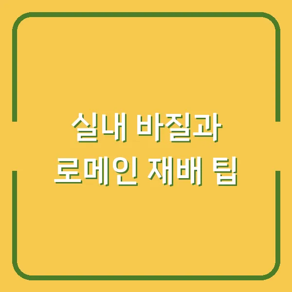 실내 바질과 로메인 재배 팁